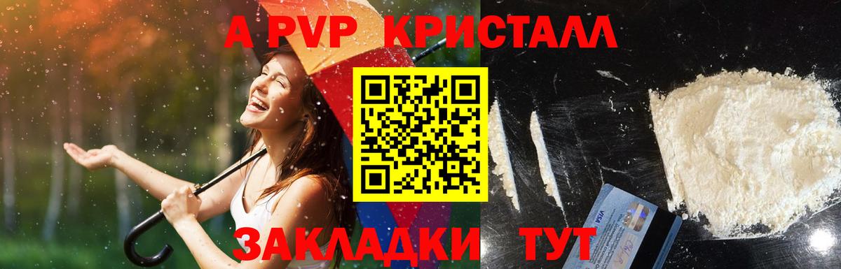 Людиново  APVP СК КРИС  Альфа ПВП  A PVP крисы CK  Вход с VPN 
