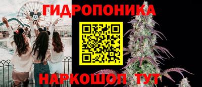 ECSTASY Заводоуковск